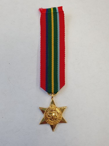 Miniature medal pacific - medal,